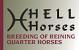 Logo per Hell Horses